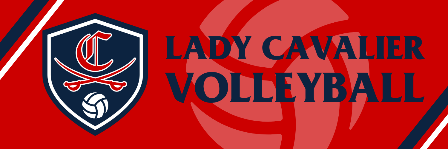 Volleyball Banner